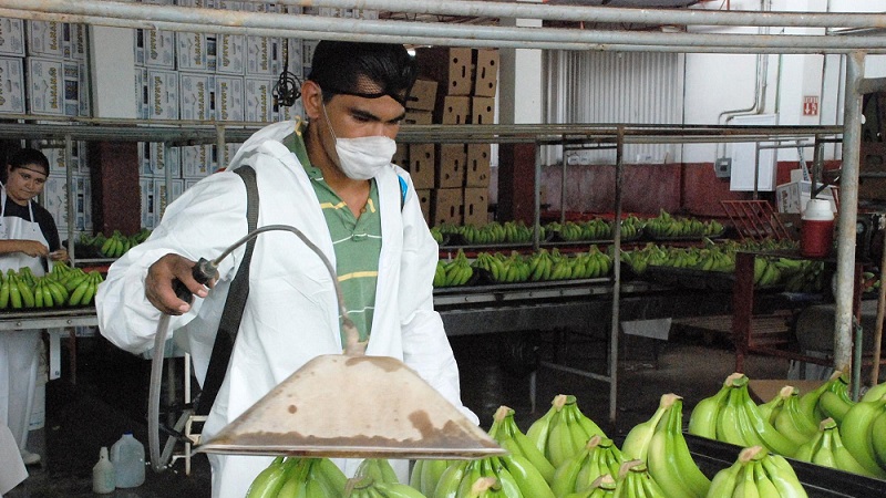 SEDRU busca impulsar la organización rural de los sistemas producto