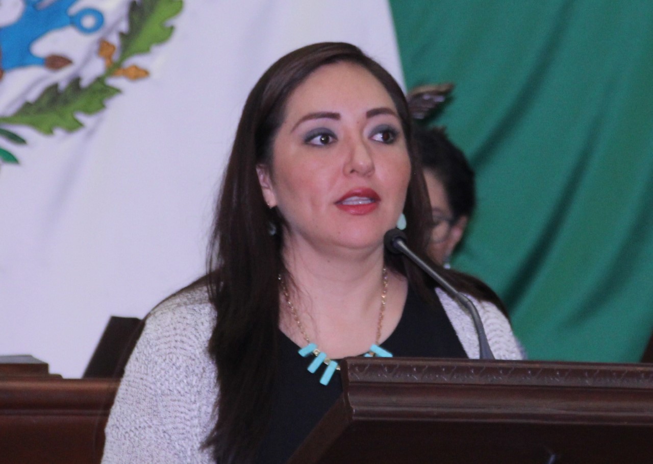 Propone Juanita Noemí Ramírez reforma para la protección de los bosques