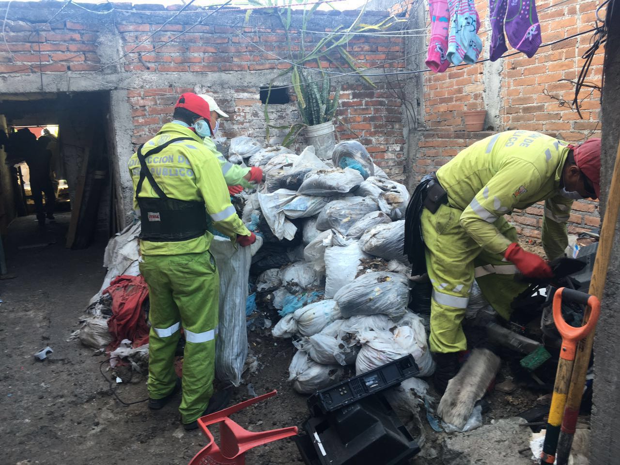 Gobierno de Morelia atiende reporte de presunto maltrato animal