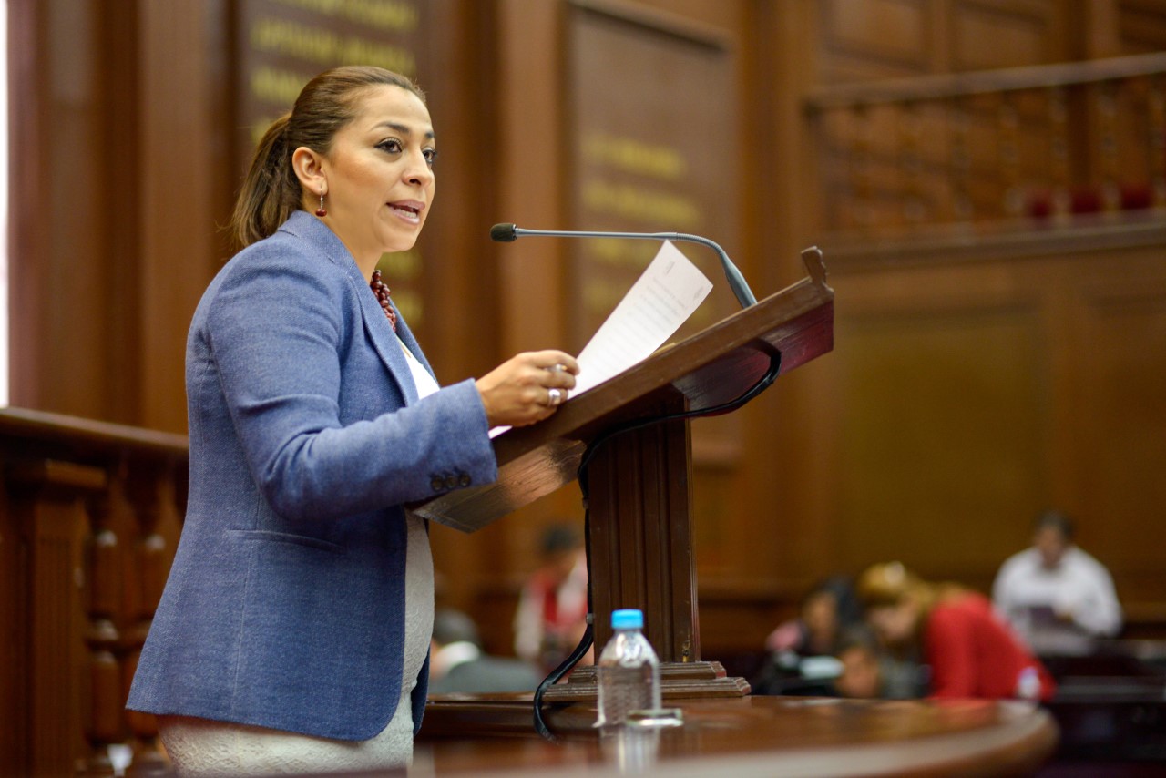 Alma Mireya González Sánchez propone reformas en materia electoral