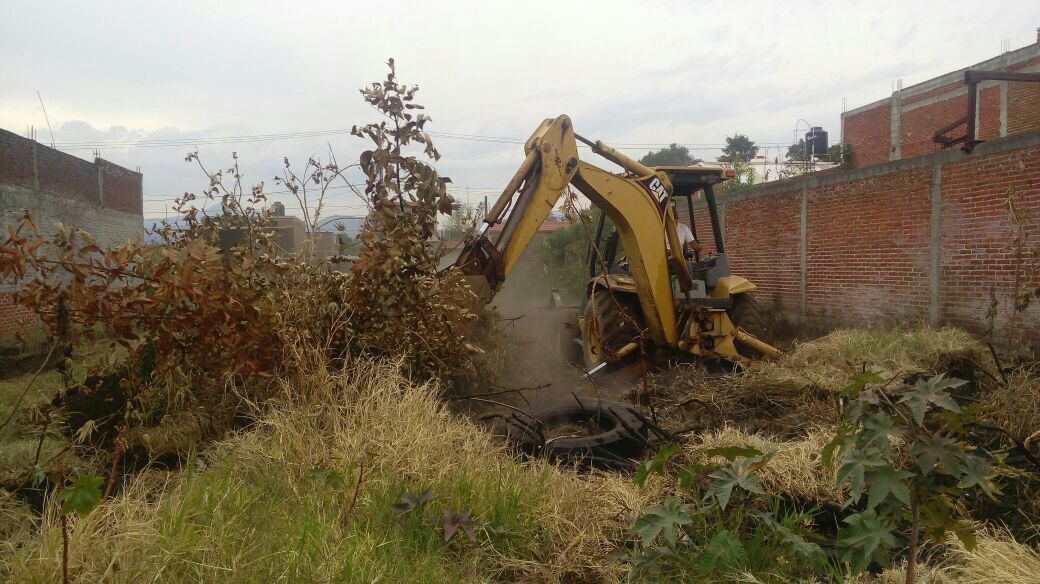 Movimiento Ciudadano inicia rescate de espacios públicos en Uruapan