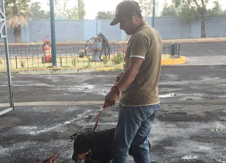 Ayuntamiento de Morelia refuerza proyecto de división canina de búsqueda y rescate