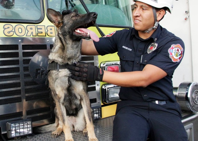 Protección Civil y Bomberos de Morelia refuerza Unidad Canina