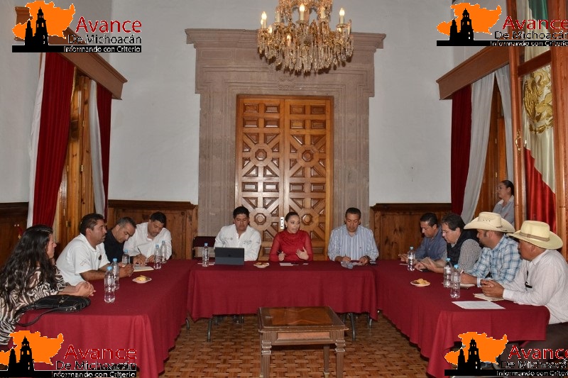 Sólo con apoyo crecerá Michoacán: Adriana Hernández