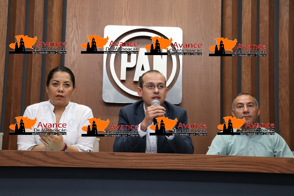 La salud de los michoacanos, no ha sido prioritario para el gobierno: PAN