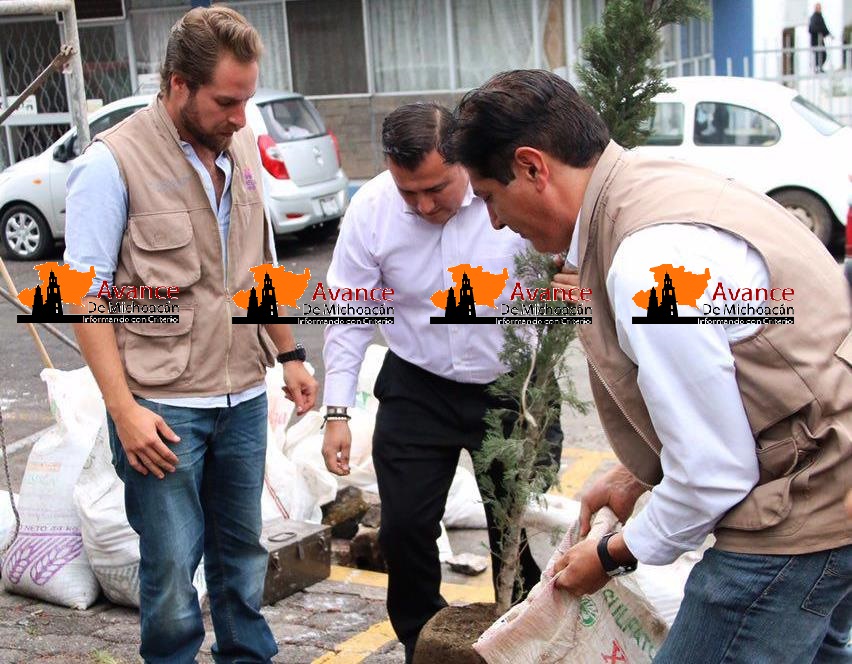 Secretaría de Desarrollo Metropolitano e Infraestructura repone árboles derribados por cuestiones de riesgo