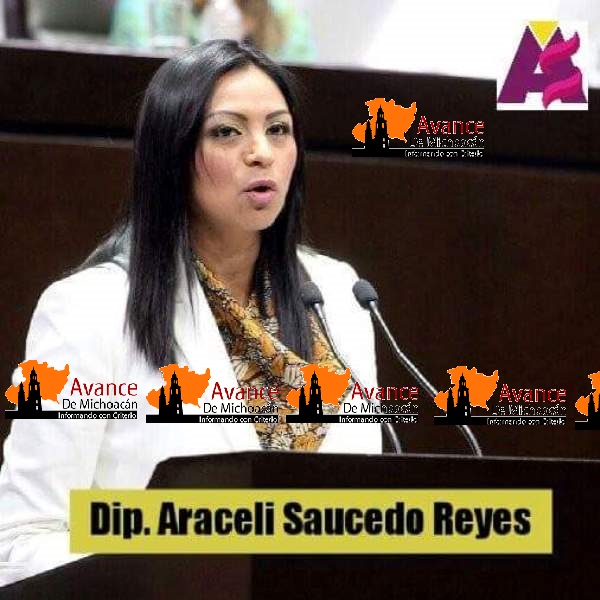Incremento en combustibles: Araceli Saucedo