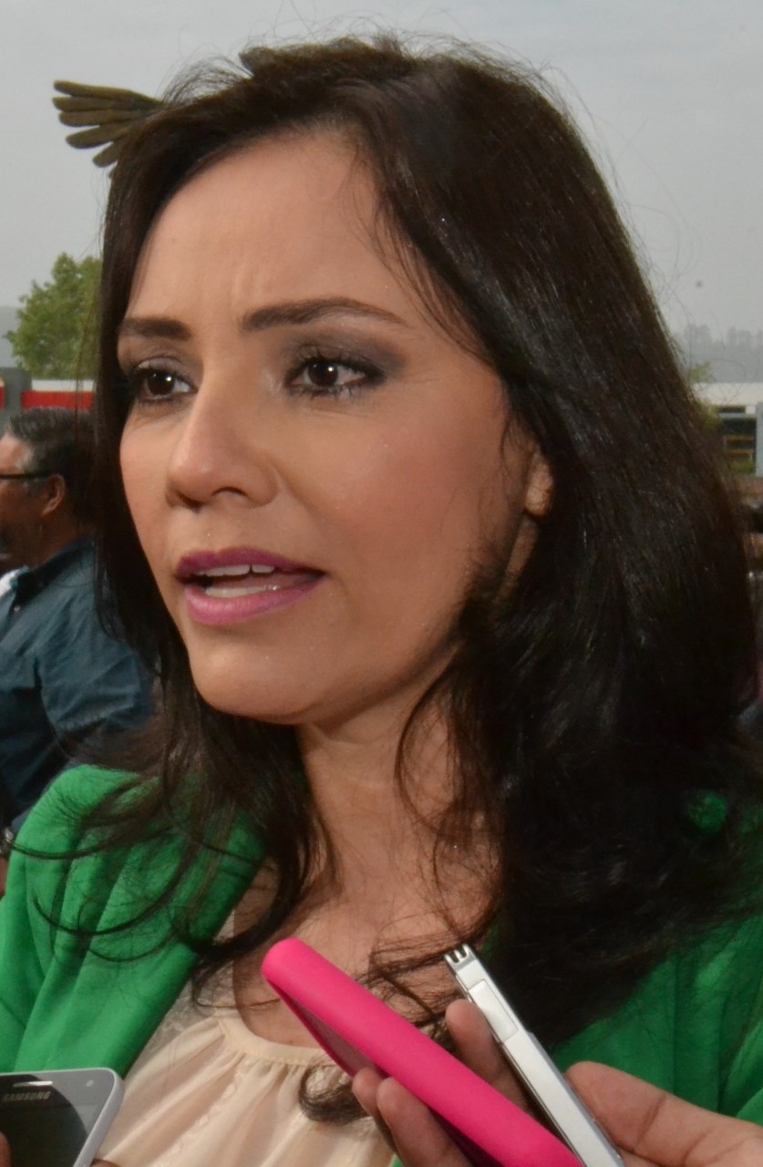 El INE deberá intervenir en Briseñas: Adriana Hernández.