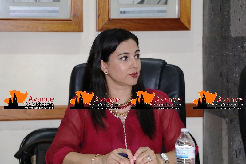 Debido a la crisis financiera y al poco apoyo oficial 10 a 15 negocios cierran por mes en Zamora