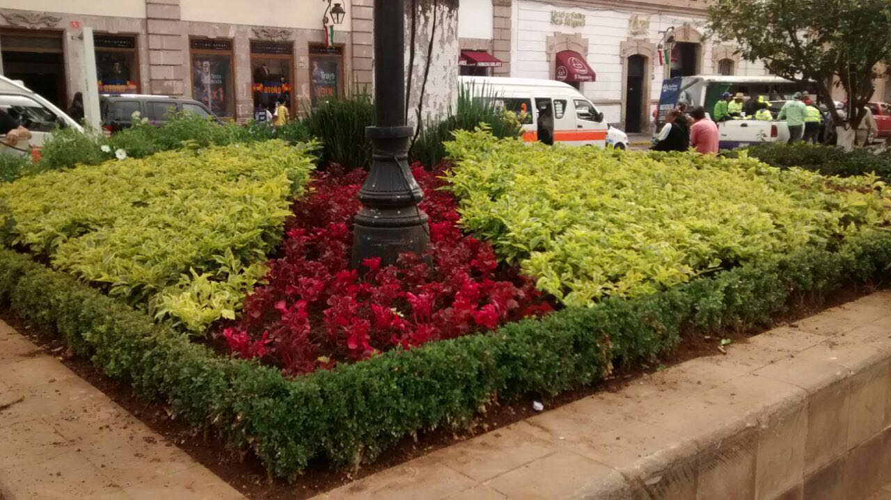 Gobierno Municipal embellece plazas y jardines de Morelia