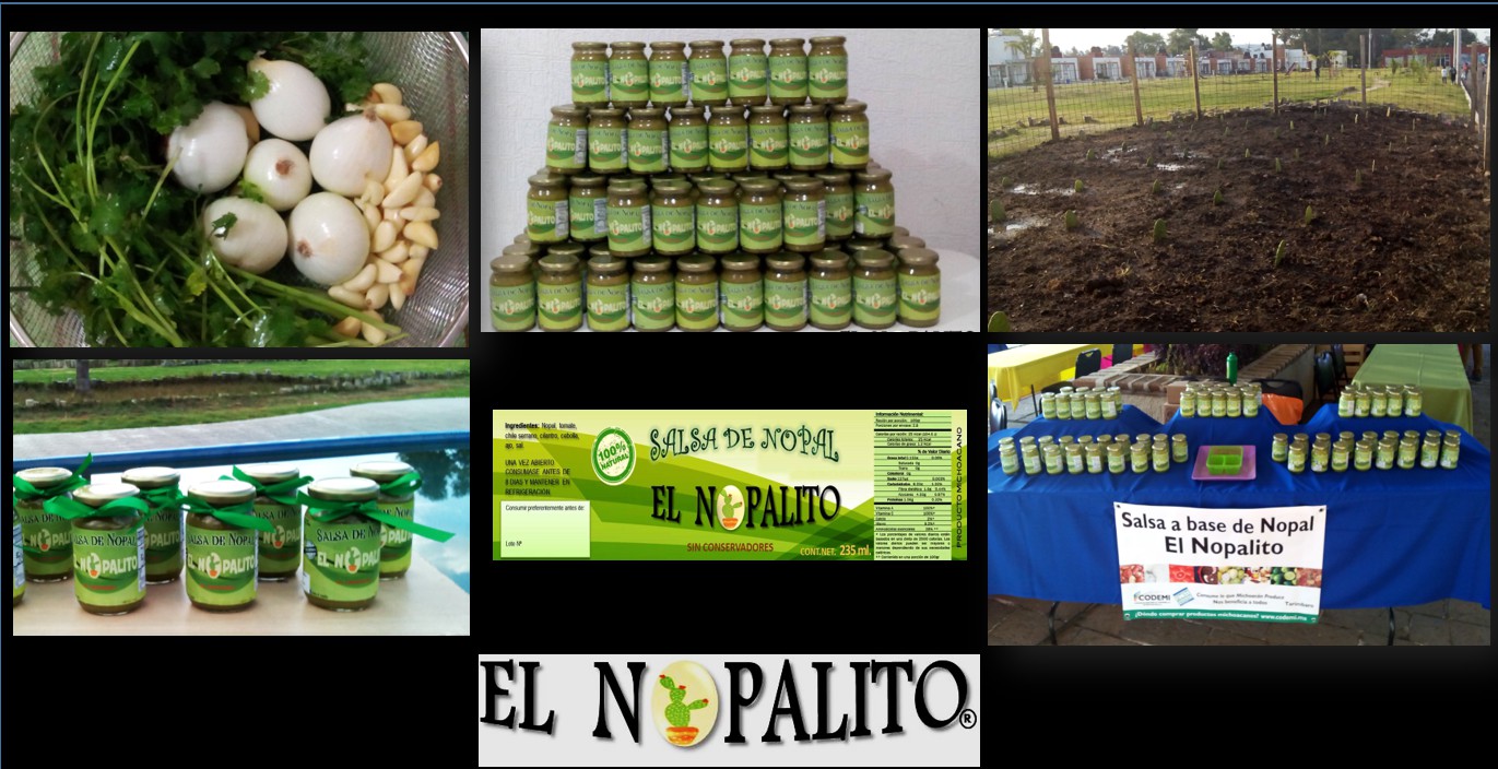 La UTM forma jóvenes emprendedores