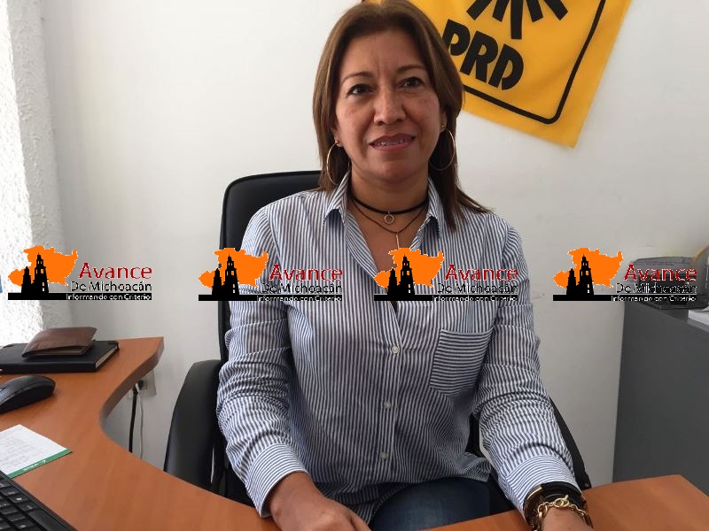 Transitar del voto a la paridad de género, logro de las mujeres perredistas: Verónica Naranjo