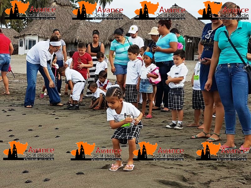 Ayuntamiento de Coahuayana hace liberación publica de Tortugas.