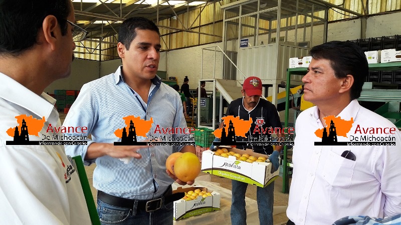 Respalda Sí Financia proyectos productivos innovadores y solidarios.