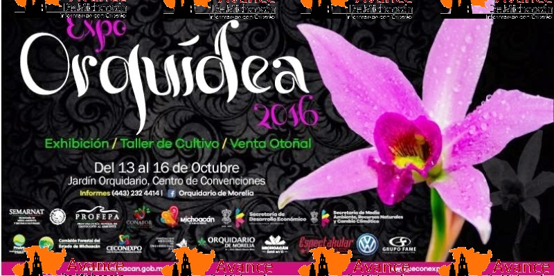Mañana inicia la Expo Orquídea en el Ceconexpo.