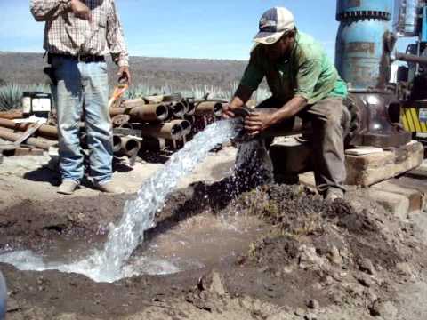 Productores de limón requieren de perforación de pozo para la productividad