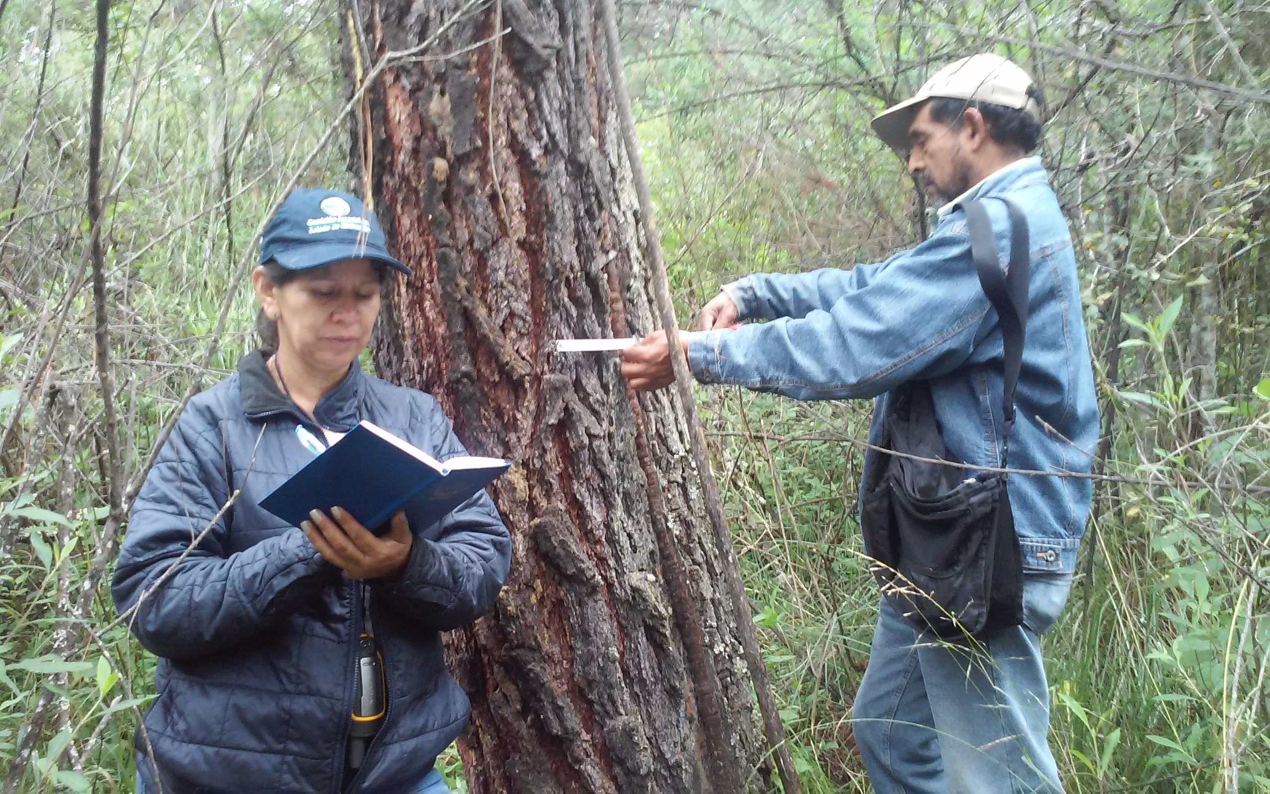Capacitará Cofom al Ayuntamiento de Zacapu en acciones de inspección y vigilancia forestal