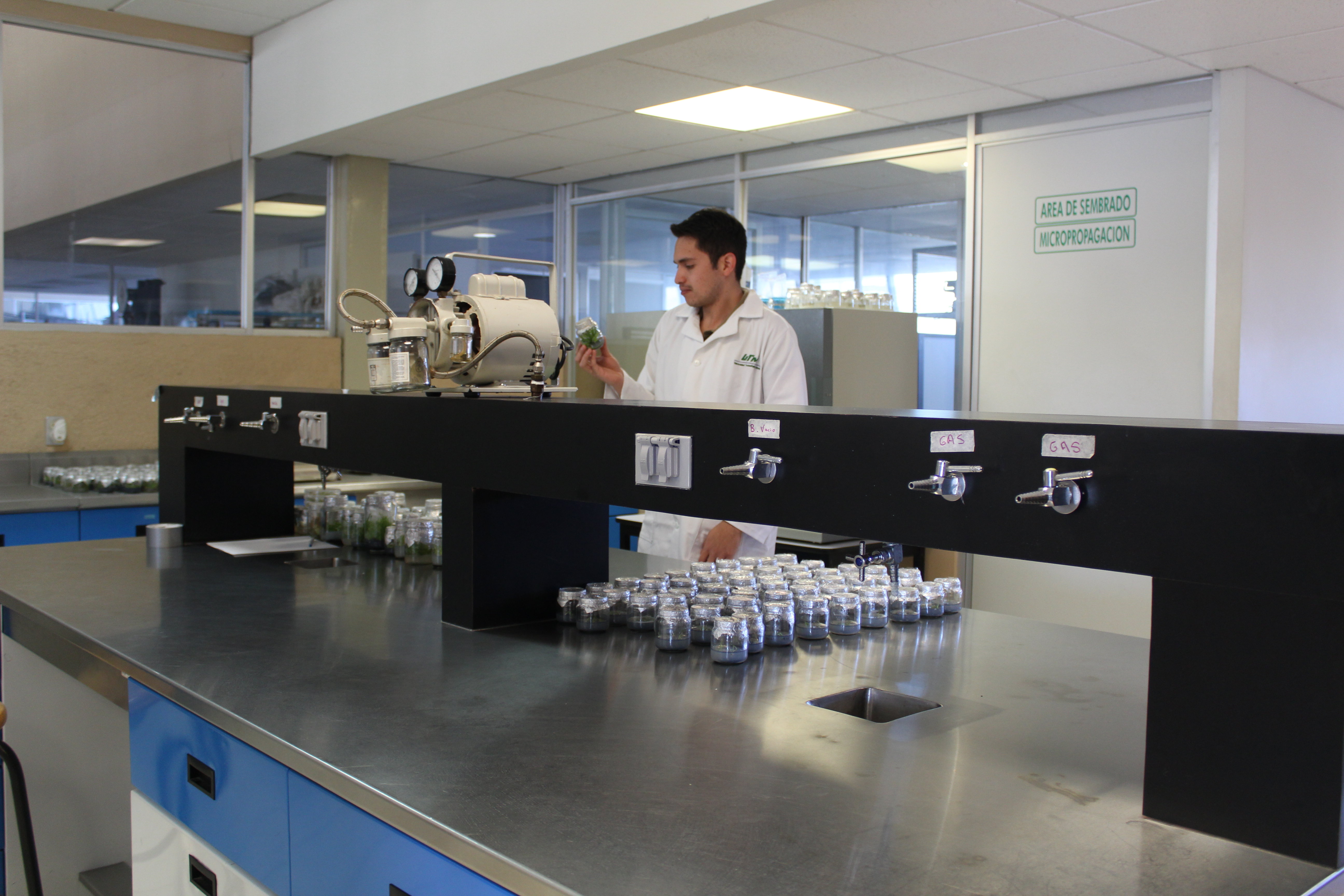 Estudiantes de la UTM realizarán proyecto de investigación en Cuba