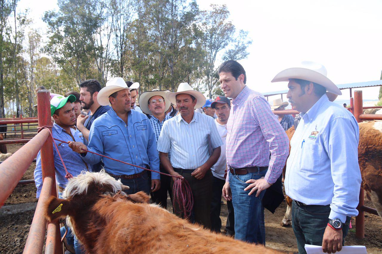 Gobierno Municipal fortalece la producción ganadera de Morelia