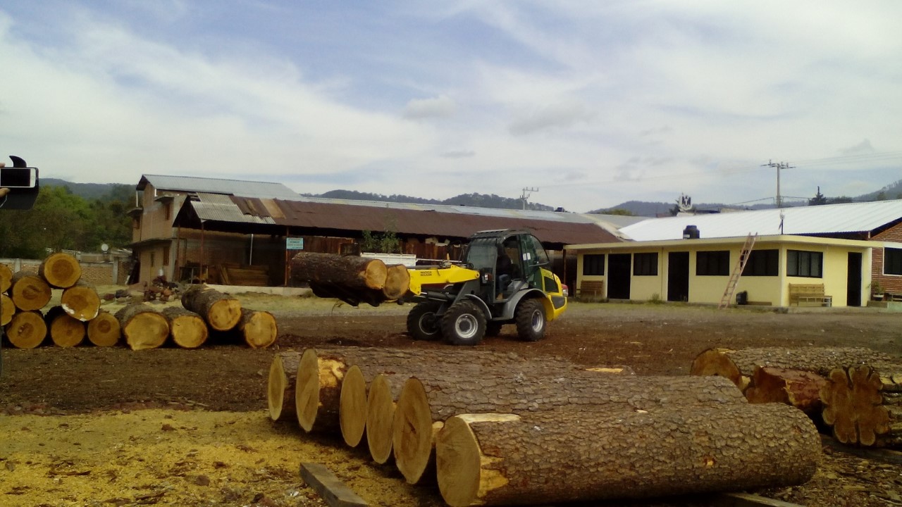 Invierte CONAFOR 19.1 Mdp. En modernización de industria forestal michoacana