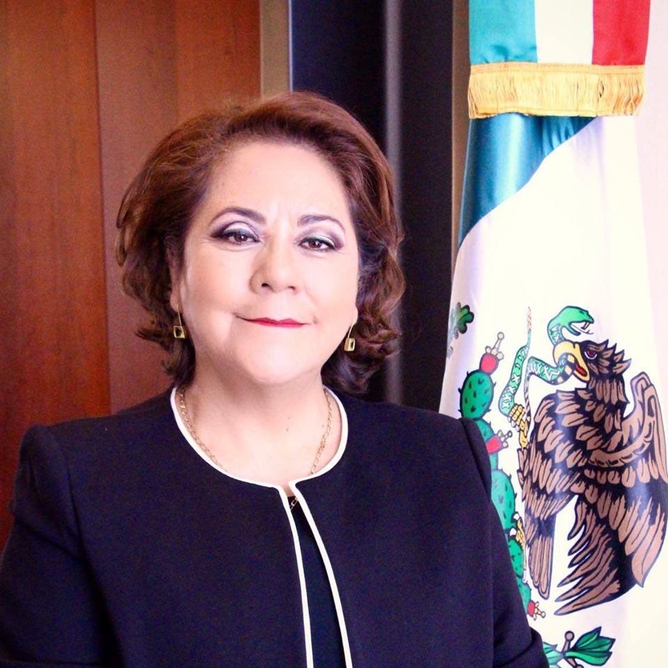 Recién nacidos recibirán gratuitamente tamiz auditivo neonatal: Rocío Pineda Gochi.