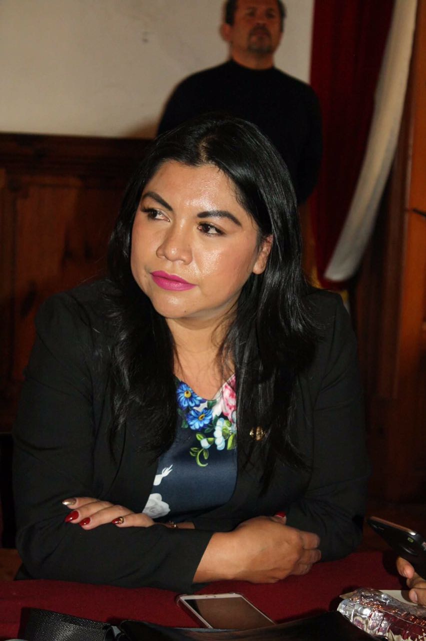 El Ejército debe salir de las calles: Brenda Fraga