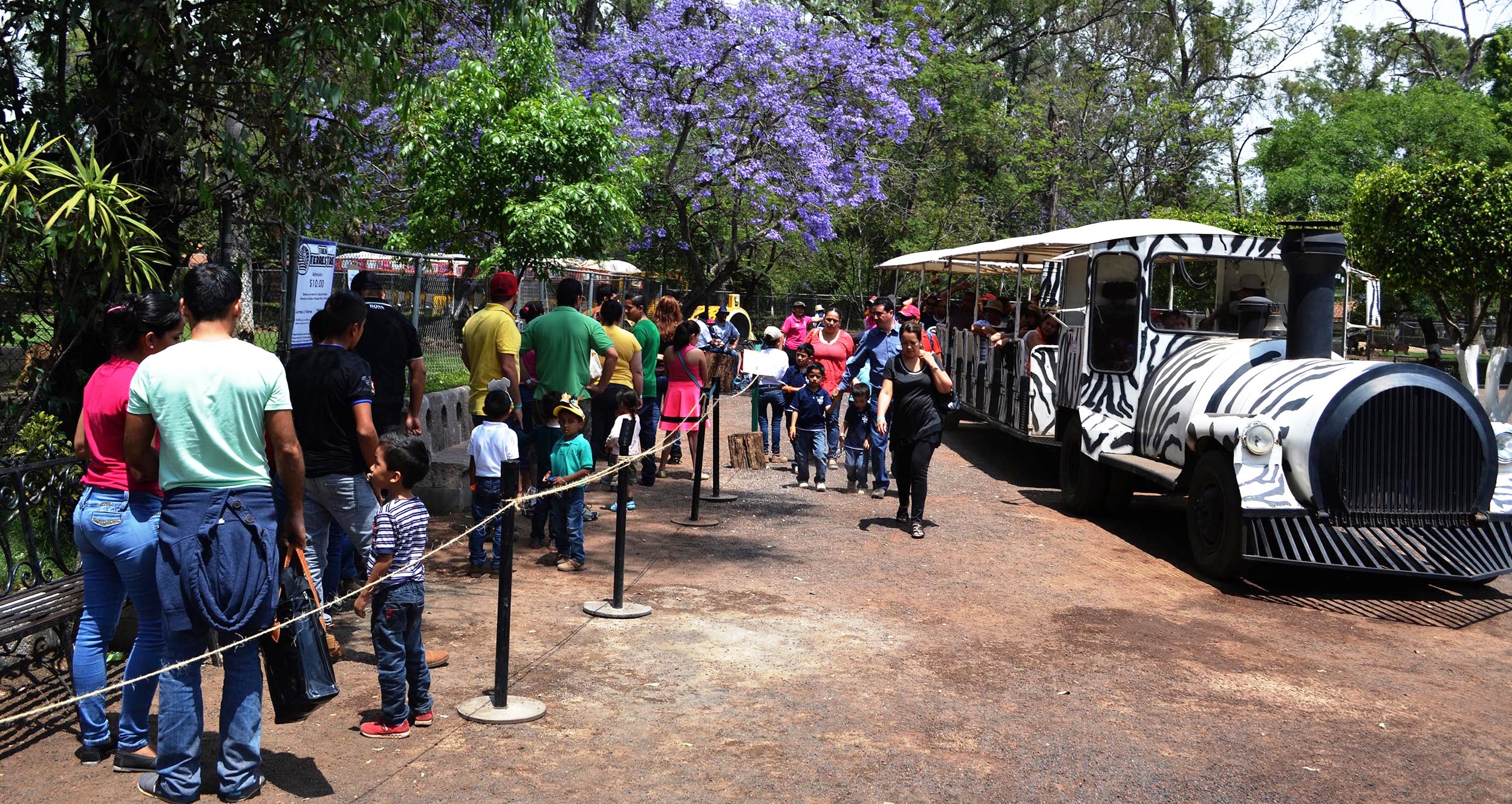 En 2016 más de 743 mil personas visitaron el Parque Zoológico “Benito Juárez”