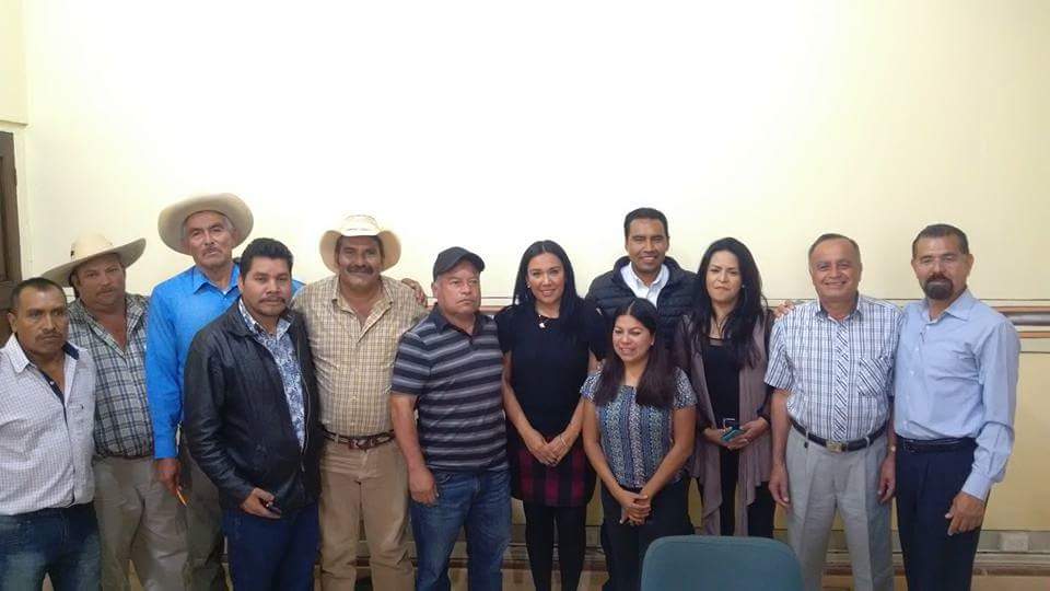 Políticas de austeridad desde 2015