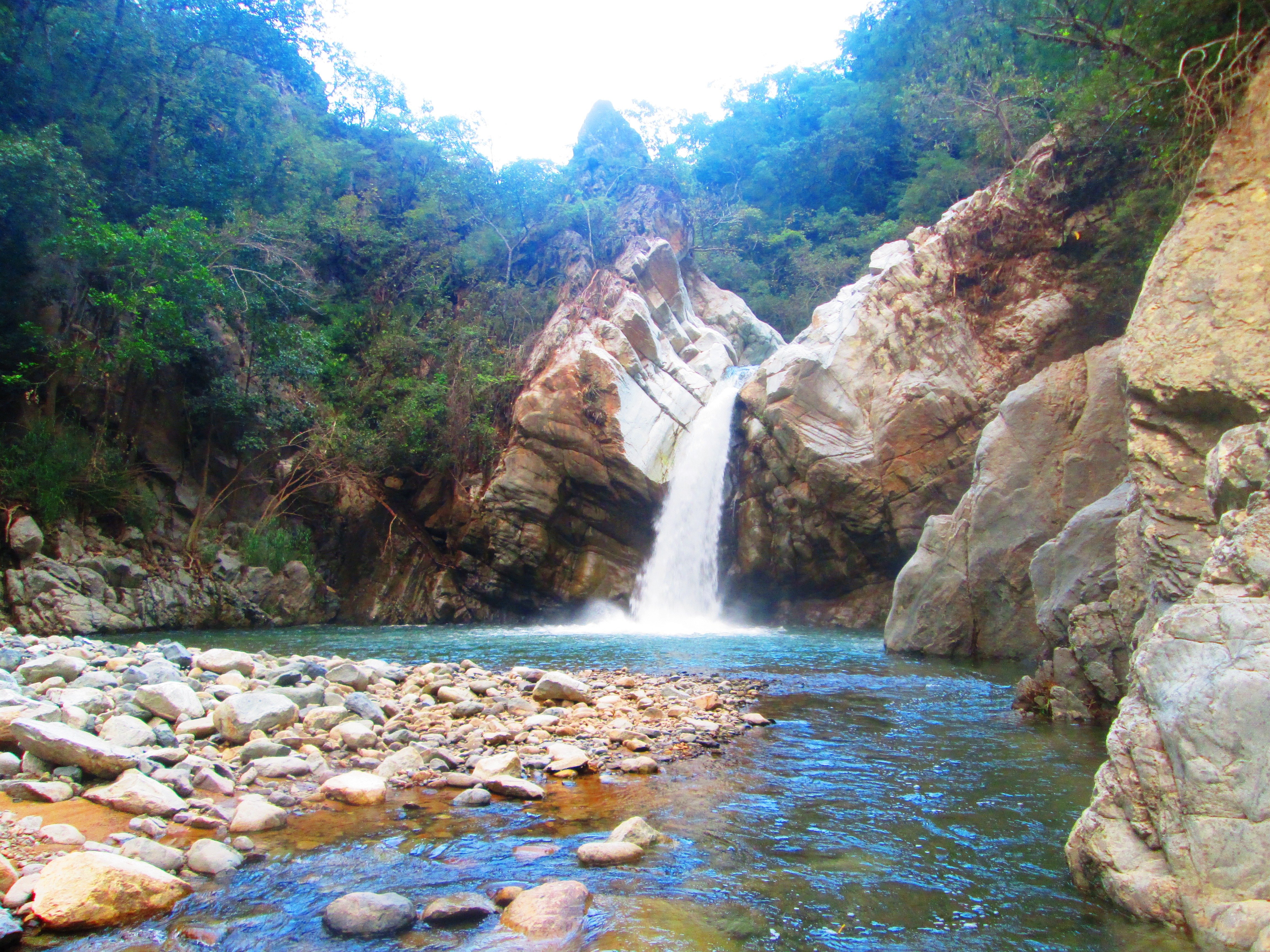 Fomenta Cofom el desarrollo rural sustentable en Michoacán