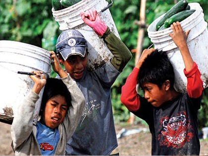 Aún persiste la presencia de menores de edad en el campo