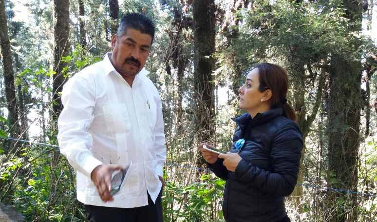 Visita la secretaria de Turismo el santuario de la mariposa Monarca