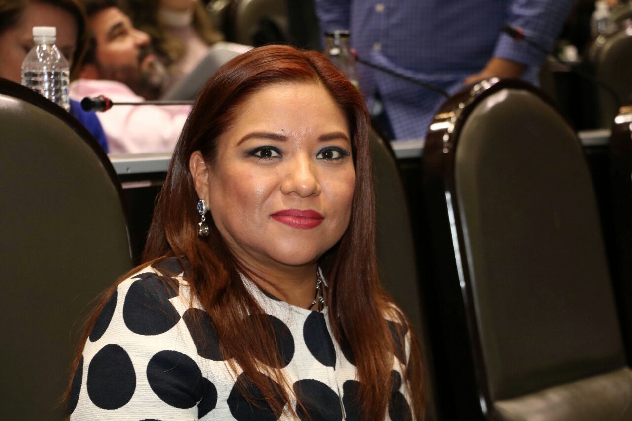 PRD votó en contra de la Reforma Energética y el gasolinazo: Concepción Valdés