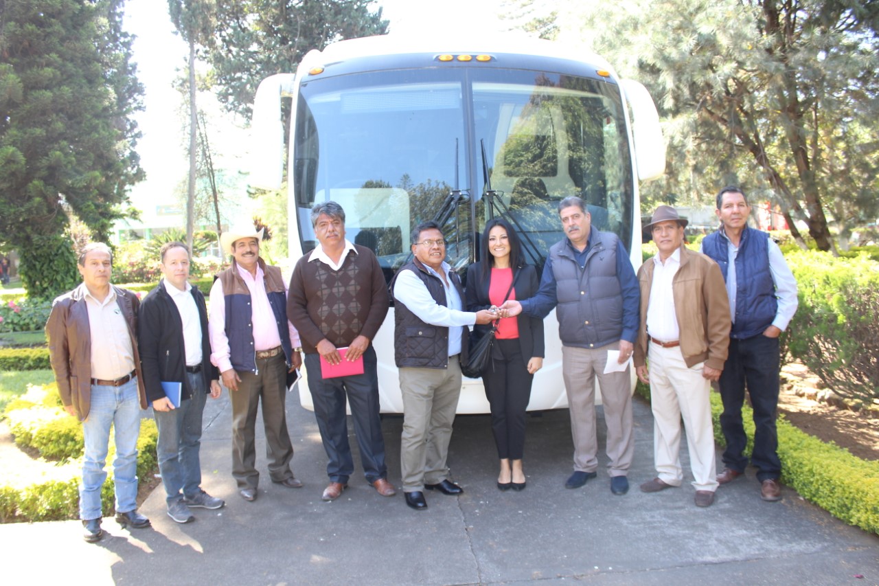 Secretaría de Desarrollo Humano y Bienestar Social proyecta la educación en línea de manera gratuita