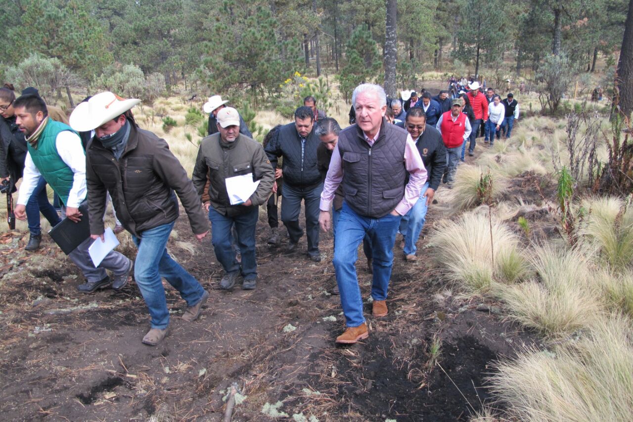 Restauran 7 mil 065 hectáreas en el nevado de Toluca