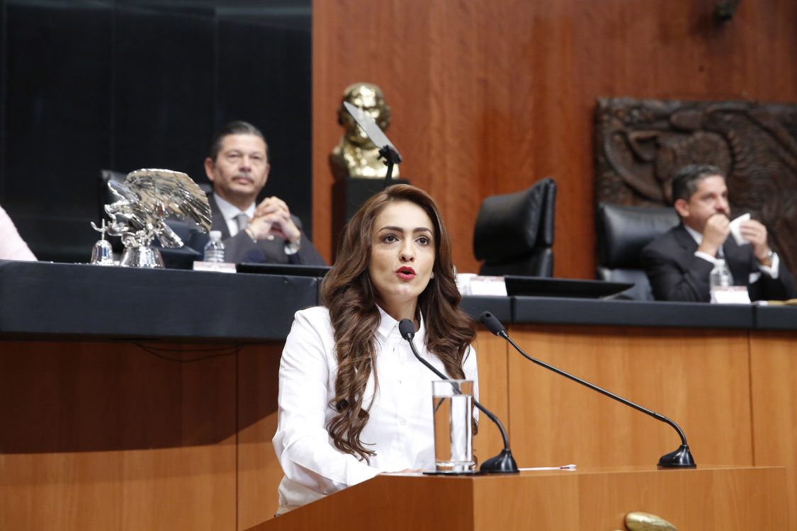 La senadora Iris Mendoza dio a conocer su posición en las filas del PRD