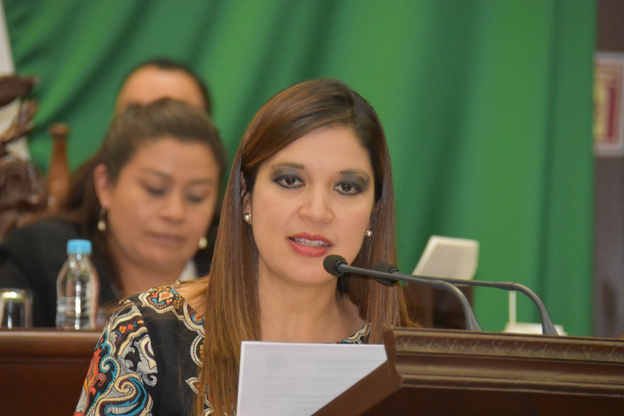 Llama Rosalía Miranda a crear programas eficientes de reforestación