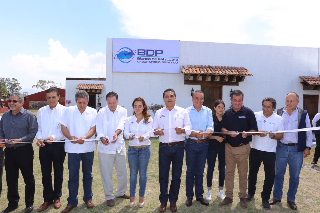Inaugura Gobernador primer laboratorio de producción de pez blanco en Michoacán