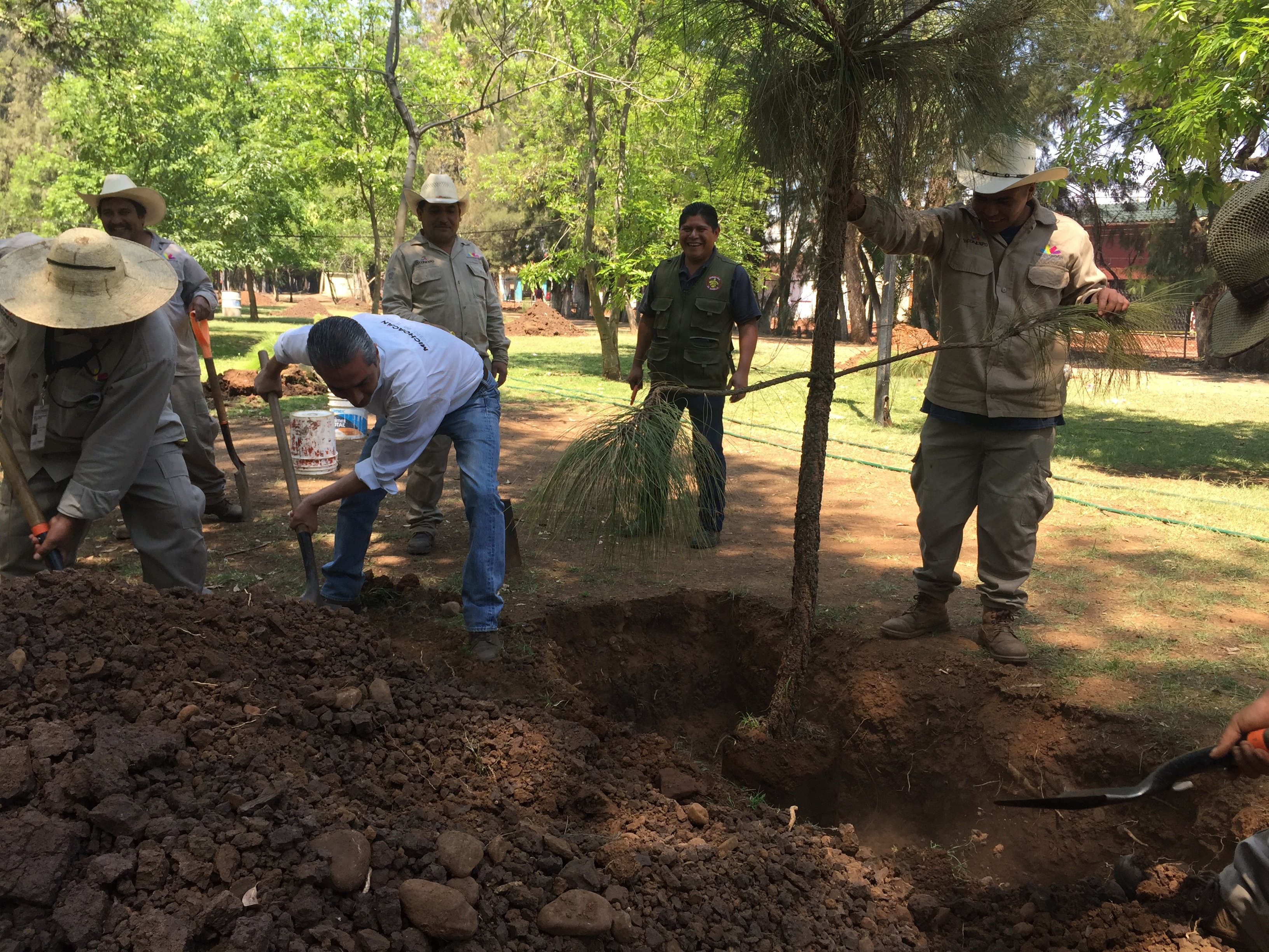 Inicia la reforestación de las áreas verdes del Ceconexpo