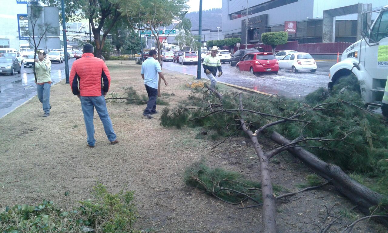 Incidentes menores, saldo de la lluvia de este miércoles en Morelia: Ayuntamiento