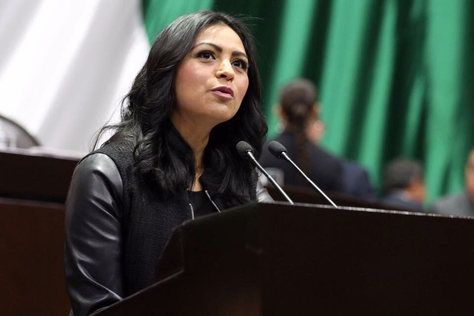 Gobierno Federal debe buscar nuevos mercados para el aguacate mexicano: Araceli Saucedo