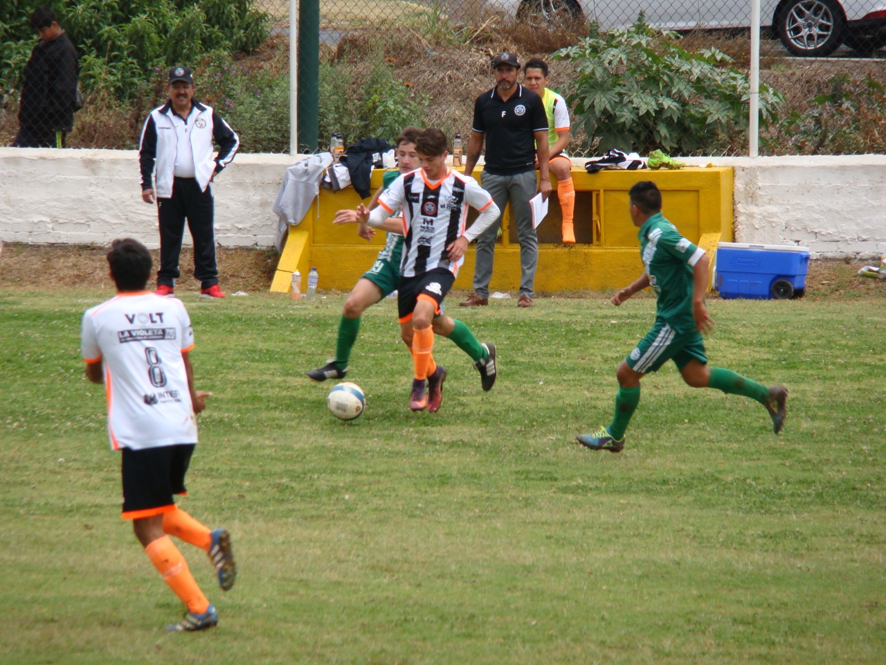 Segundo tiempo letal para vencer a delfines