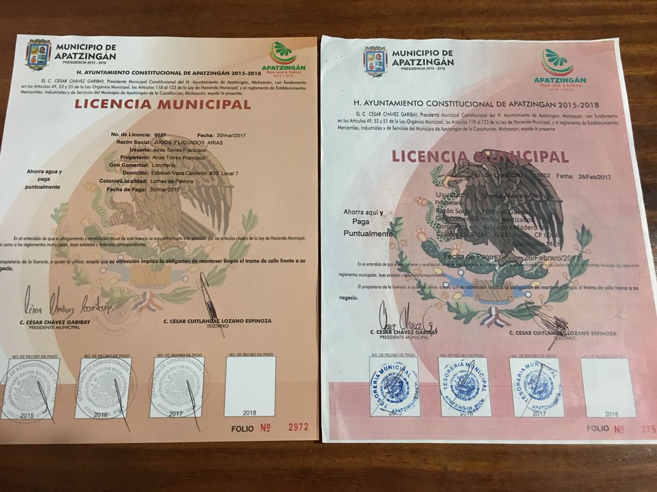 Detectan licencias de giros blancos apócrifas
