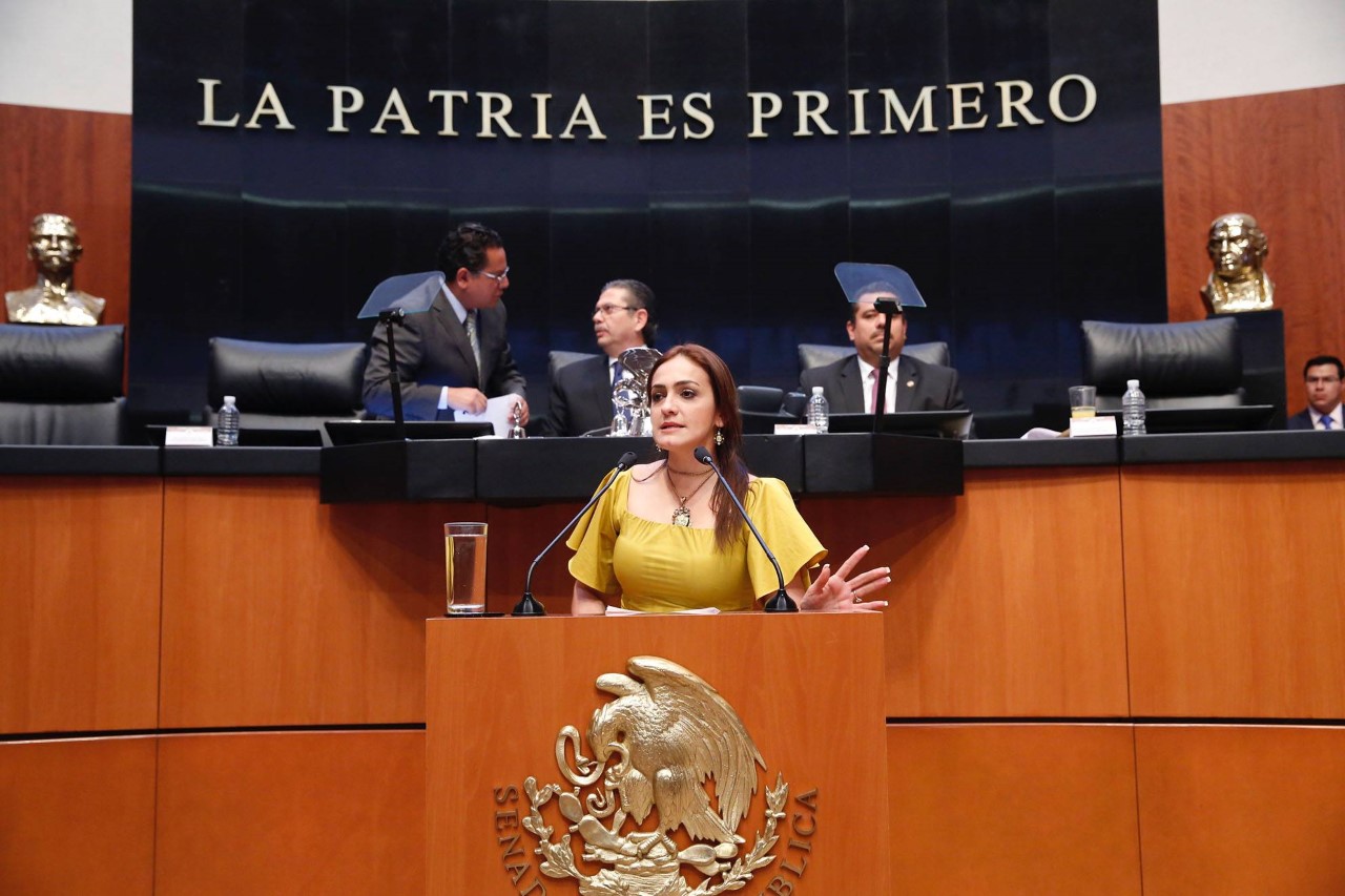 Anuncia Iris Vianey Mendoza Diplomado en el Senado de la República.