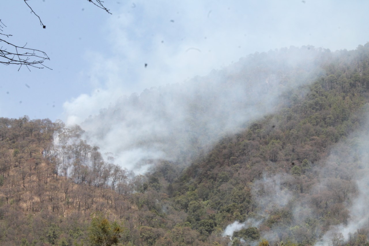 Presenta denuncia por daños ambientales ante la mesa seguridad ambiental del gobierno del estado