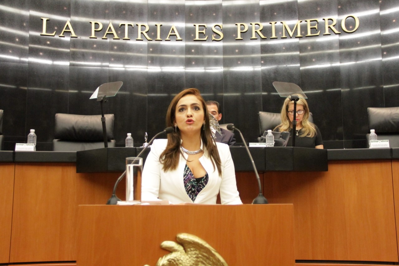 Indispensable dar pasos con mayor precisión para la protección de la vida de los periodistas y de la libertad de expresión: Iris Mendoza.