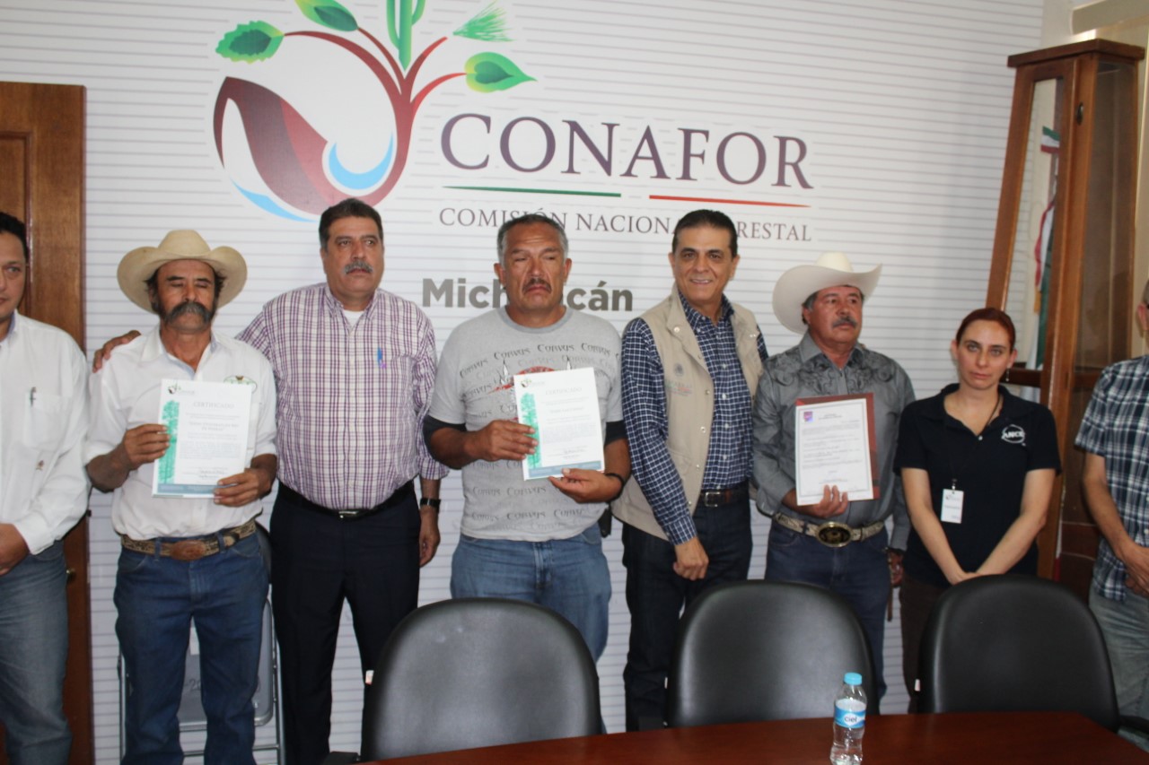 Certifican 13 mil hectáreas de bosques en Michoacán