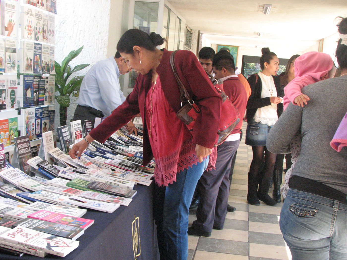 Abierta, la convocatoria de ingreso 2017-2018 en el IMCED