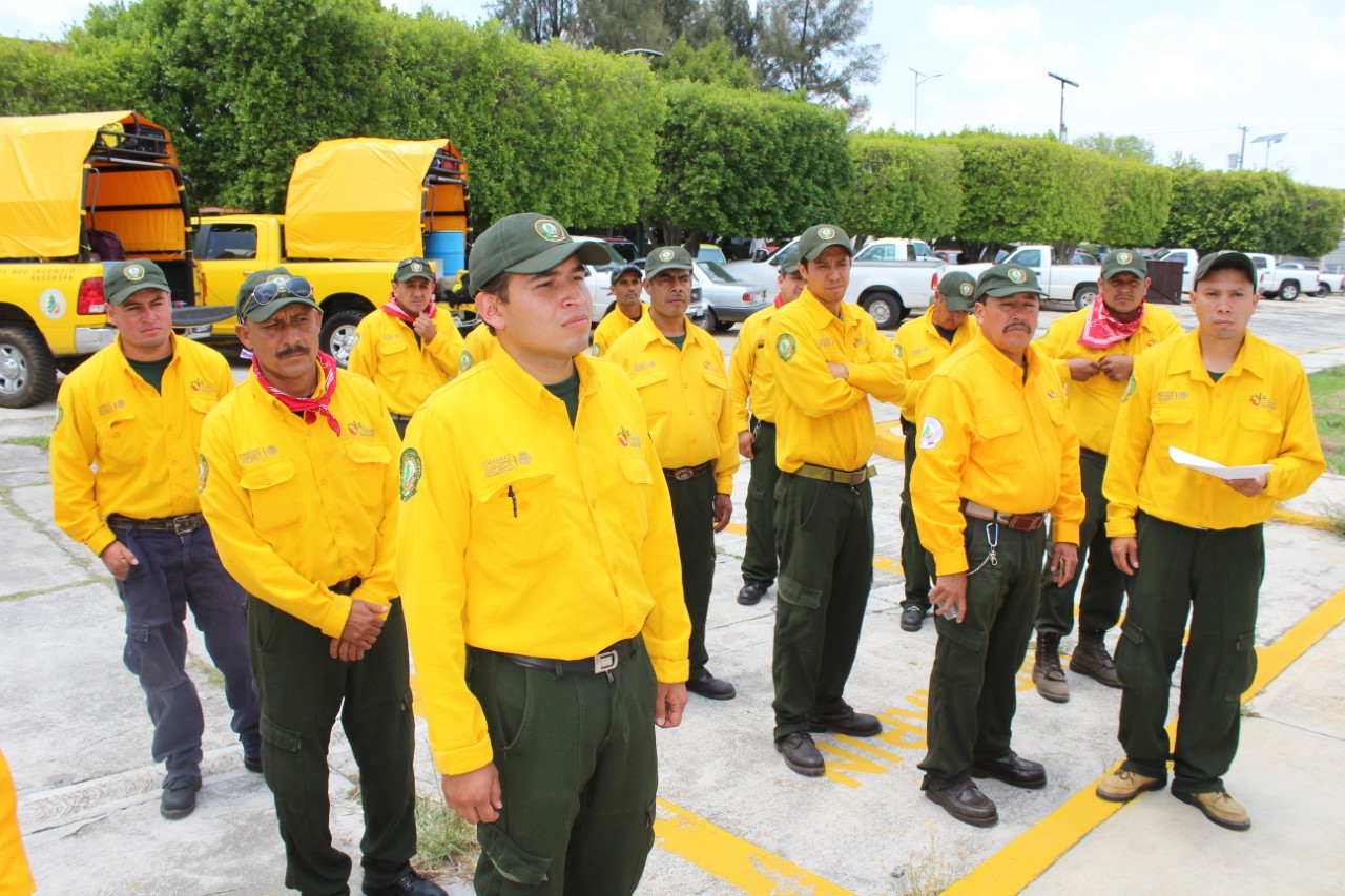 Apoyan 20 combatientes michoacanos en incendios en Sonora