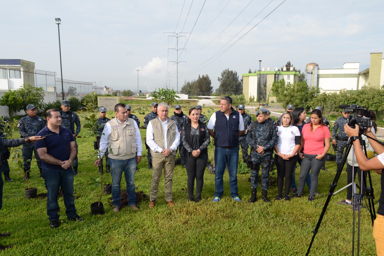 Gobierno Municipal intensifica acciones de reforestación en Morelia