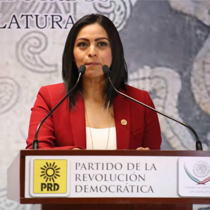 Por presuntos actos de corrupción; Fidel Calderón debe pedir licencia: Araceli Saucedo